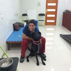 Diapositiva11