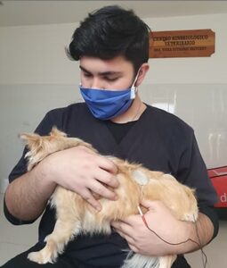 Diapositiva17