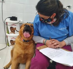 Diapositiva18