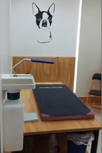 Diapositiva20